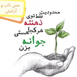 Logo saluran telegram hess_naab1 — حس ناب و آرامش‌