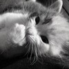 Логотип телеграм канала @hewryy — подвал hewryy