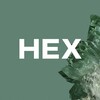 Логотип телеграм канала @hex_warehouse — #HEX • IT