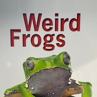Logo of telegram channel hexadoodles — Frogblog