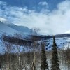 Логотип телеграм канала @hexen_winkel — • медвежий угол •