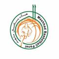 Logo des Telegrammkanals heyatbasketballmashhad - هیات بسکتبال مشهد مقدس