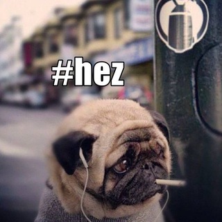Логотип телеграм канала @hezteam — #hez