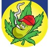 Logo of telegram channel hfapsmchbrs — Psilocybin mushroom Trippy world