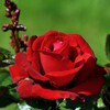 Логотип телеграм канала @hgbrfgjhnuikj — Музыка релакс.