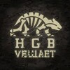 Telegram channel HGB-Vещает logo
