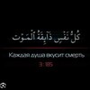 لوگوی کانال تلگرام hgthjjjhfvc — كُلُّ نَفْسٍ ذَائِقَةُ الْمَوْتِ