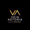 Logo of telegram channel hhh6hh — VEIN ASTORIA
