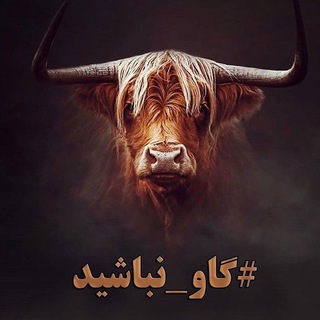 لوگوی کانال تلگرام hi_gav — لدفن گاو نباشیم !