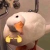 Логотип телеграм канала @hi8tws02ttfjnmvi — МЕМЫ/СМЕШНЫЕ ВИДЕО