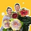 Логотип телеграм канала @hibibloom — Хибиблум | Hibibloom | Гибискусы