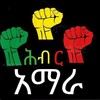 የቴሌግራም ቻናል አርማ hibiramhara_ethiopia — ህብር አማራ - Hiber Amhara