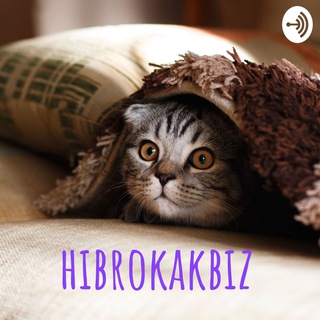 Логотип телеграм канала @hibrokakbiz — hibrokakbiz