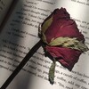 Telegram channel 𝑯𝒊𝒅𝒅𝒆𝒏 𝑫𝒊𝒂𝒓𝒚🥀 logo