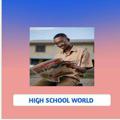 Logo saluran telegram highschoolworld — HIGH SCHOOL WORLD
