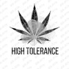 Telegram channel HIGHTOLERANCEUSA logo
