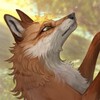 Логотип телеграм канала @hikaris_box — Коробка Хикари