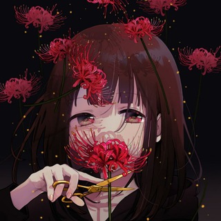 Логотип телеграм канала @hikkavine — 🎴hikkavine🎴
