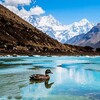 Логотип телеграм канала @himalayan_duck — Гималайская утка 🦆