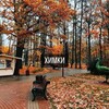 Логотип телеграм канала @himkii_msk — Химки Новости