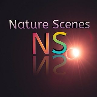 टेलीग्राम चैनल का लोगो hindi_movies_juction — Nature Word Scane 8k Ultra Hd