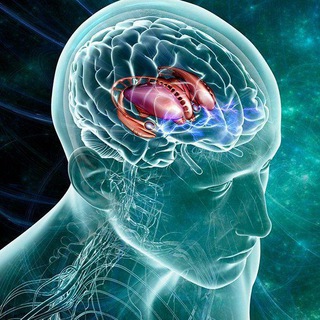 Telegram channel [PSYCHOLOGY 🧠 FACTS] #मनोवैज्ञानिक_तथ्य 🧠🧠🧠 logo