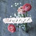 Logo saluran telegram hino_95 — حباً بـ محمد 💙 صل عليه ..ٓ