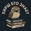 Логотип телеграм канала @hirschindex — Хирш его знает | разбор РКИ