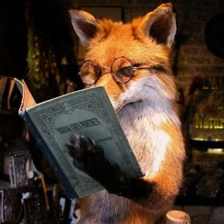 Telegram kanalining logotibi hirunman — FoxNotes | autopilot