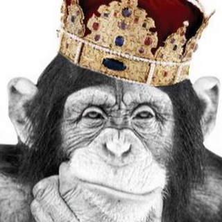 Логотип телеграм канала @hist_ry — ИСТОРИЯ ЧЕЛОВЕКА