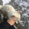 Логотип телеграм канала @histey — архив чувств