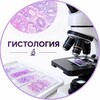 Логотип телеграм канала @histology_med — Гистология