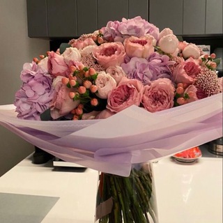 Логотип телеграм канала @histoooryyyy — gulo🤍