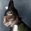 Логотип телеграм канала @historycolorful — Цветная История