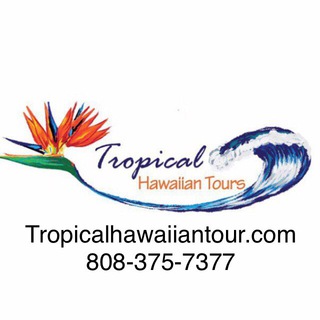 Logo of telegram channel hitht — Tropical Hawaiian Tours LLC