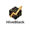 لوگوی کانال تلگرام hiveblack — BlackHive / کندوی سیاه