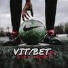 Telegram channel VIT|BET logo