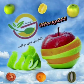 لوگوی کانال تلگرام hoary244 — پلی برای موفقیت