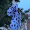 Логотип телеграм канала @hobbyhorse_tmn — hobbyhorse_tmn
