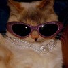Логотип телеграм канала @hochetsa_pitj — лада на проводе