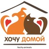 Логотип телеграм канала @hochu_domoj46 — Хочу Домой. Бездомные животные.