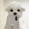 Логотип телеграм канала @hochybabok — Деньги из воздуха