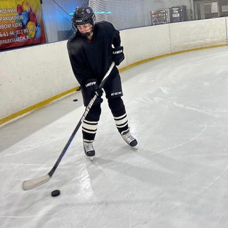 Логотип телеграм канала @hockey_and_life — Хоккей как стиль жизни 🏒