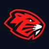 Лагатып тэлеграм-канала hockey_club_bobruisk — Хоккейный клуб «Бобруйск» | hockey_club_bobruisk