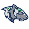 Логотип телеграм канала @hockey_gornak — 🐺Хк,,Горняк"🩵💚