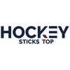 Логотип телеграм канала @hockey_sticks_top — Хоккейные клюшки ТОП🔝