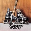 Логотип телеграм канала @hockeyflex55 — Хоккейный магазин HOCKEY FLEX 55