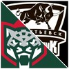 Логотип телеграм канала @hockeyhcakbars — Шиндр-Мындр🐾|Ak Bars