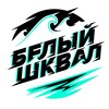 Логотип телеграм канала @hockeyschoolmoscow — Школа Хоккея Белый Шквал