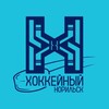 Логотип телеграм канала @hockeysitynorilsk — Хоккейный Норильск